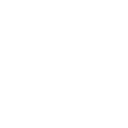 Conscientious Icon